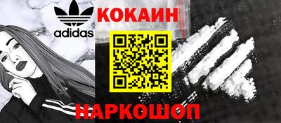 соль ск Бердск