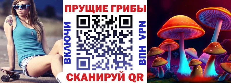 где можно купить   OMG как войти  Галлюциногенные грибы MAGIC MUSHROOMS  Махачкала 