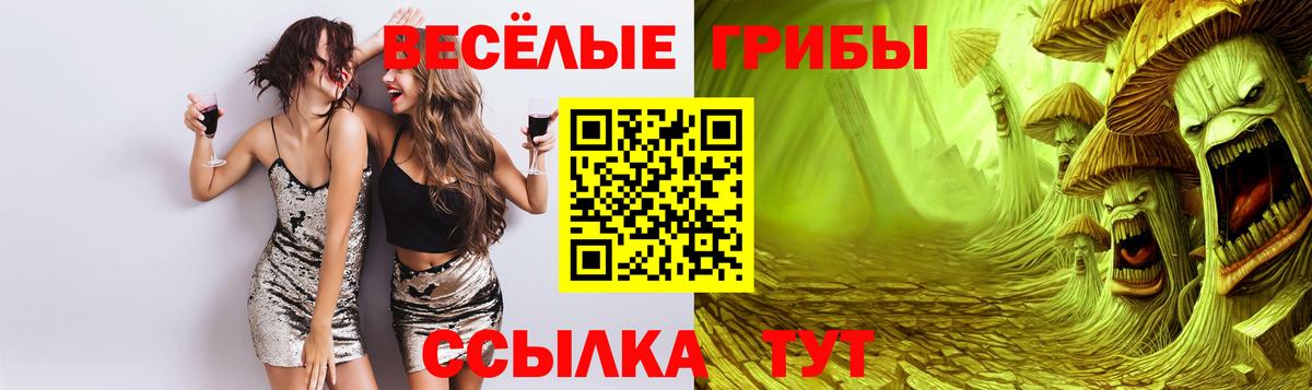 Галлюциногенные грибы мухоморы Махачкала