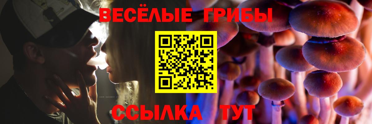 Галлюциногенные грибы ЛСД  Вход с VPN  где можно купить наркотик  Махачкала  Галлюциногенные грибы MAGIC MUSHROOMS 